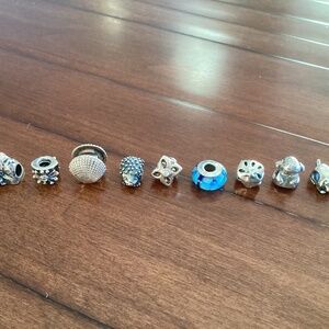 Pandora Charms -Price per charm